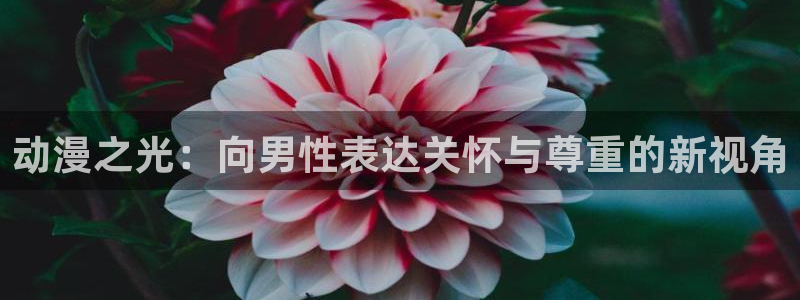 樱花动漫天堂：动漫之光：向男性表达关怀与尊重的新视角