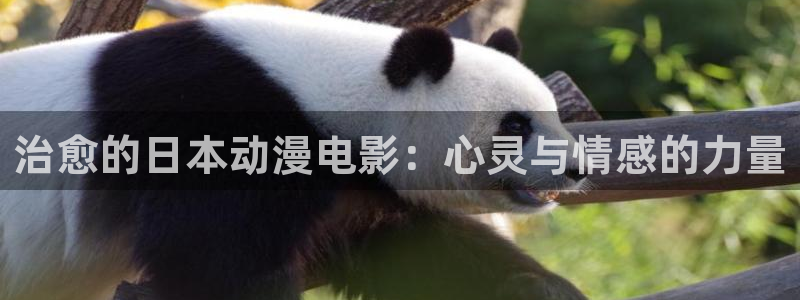 番剧推荐动漫天堂.：治愈的日本动漫电影：心灵与情感的力量
